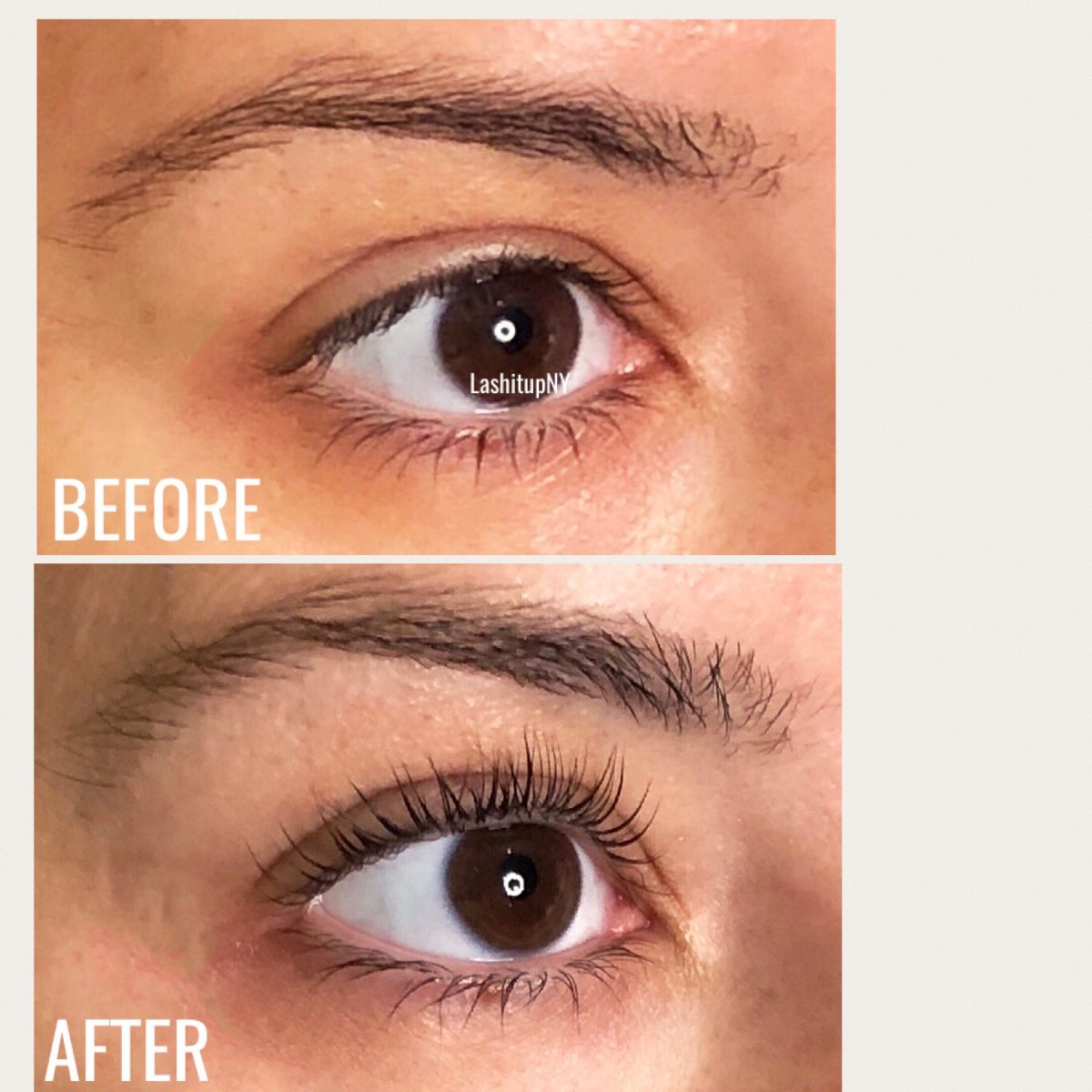 Elleebana Lash Lift